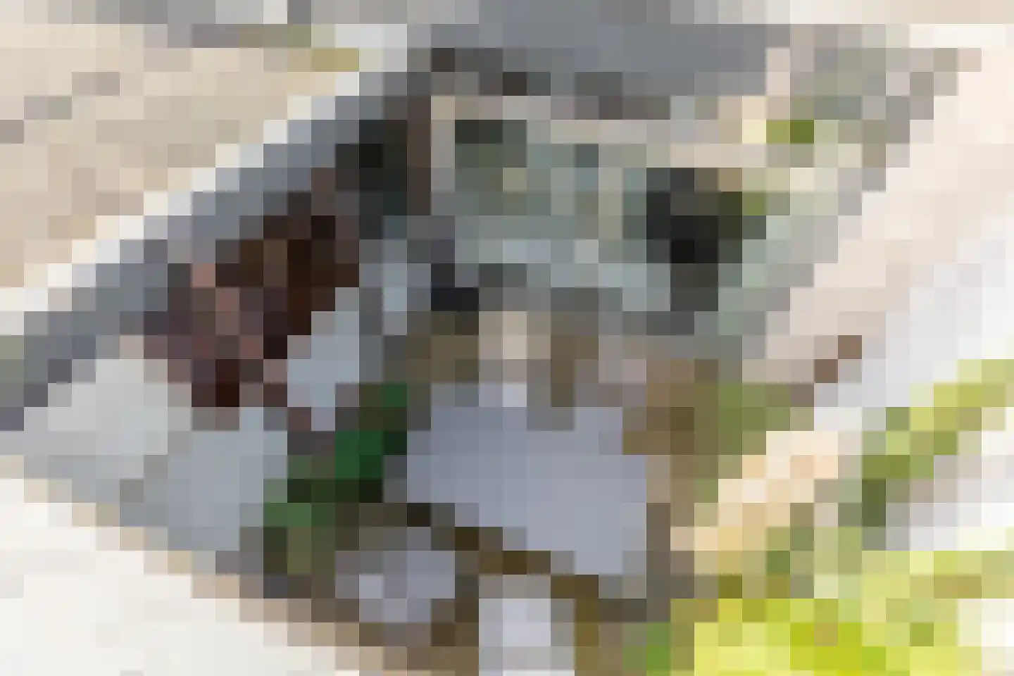 Vinkendaal 29 Nieuwerkerk aan den IJssel thumbnail 46