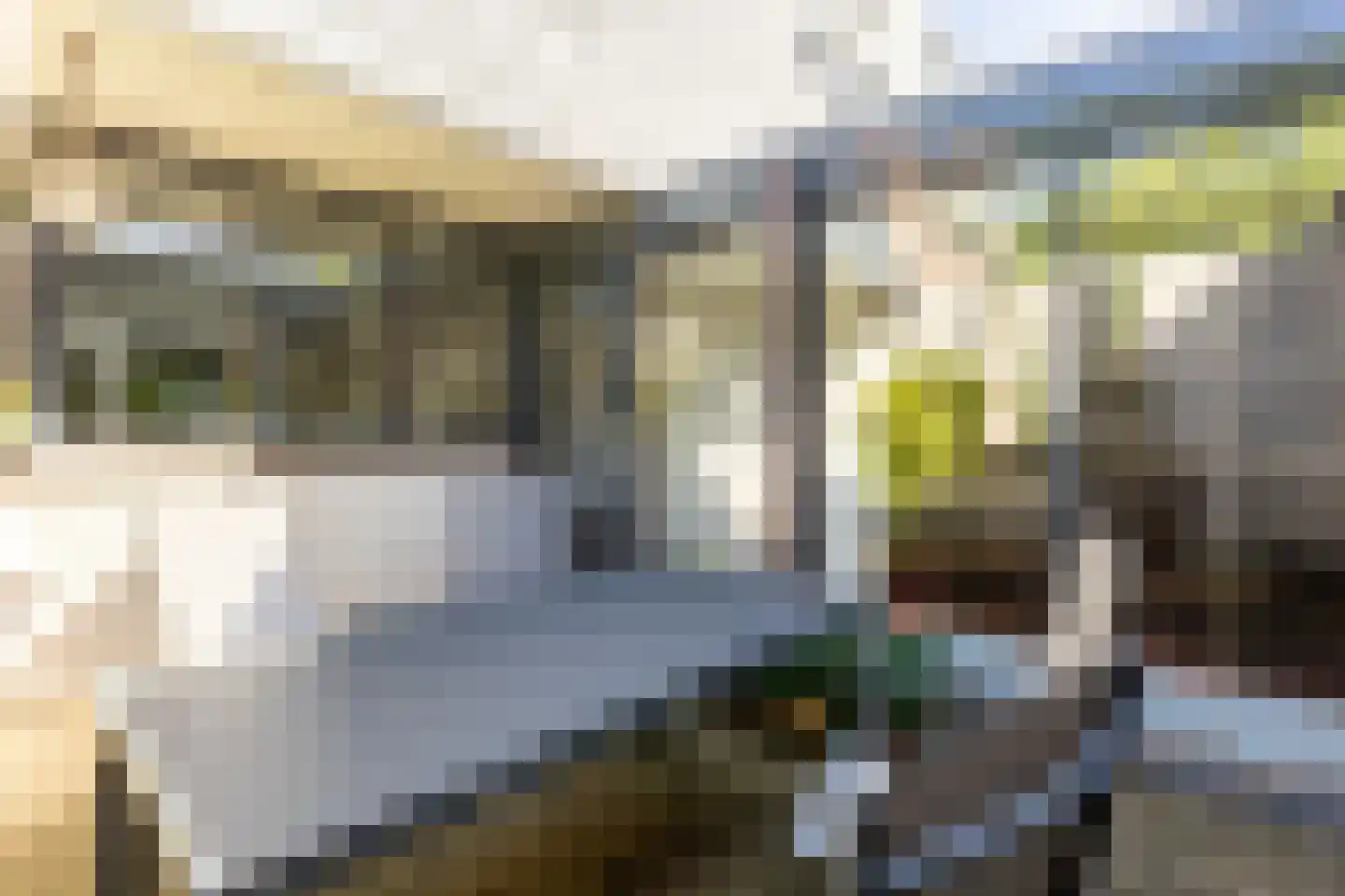 Vinkendaal 29 Nieuwerkerk aan den IJssel thumbnail 48
