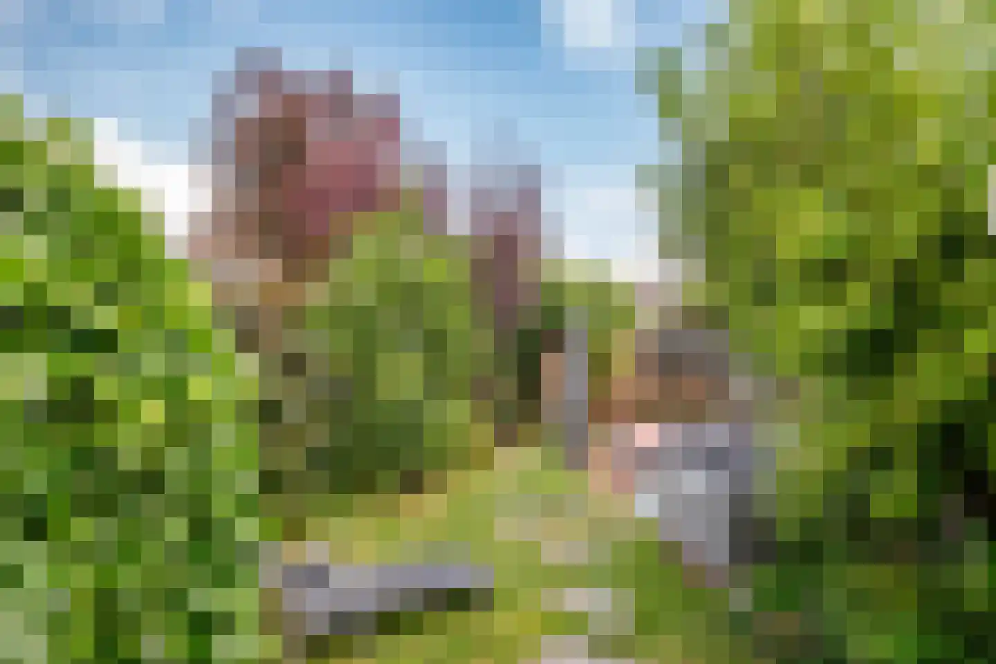 Vinkendaal 6 Nieuwerkerk aan den IJssel thumbnail 39