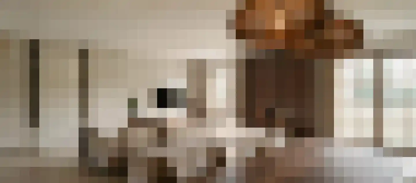 Vinkendreef 4 Bleiswijk thumbnail 11