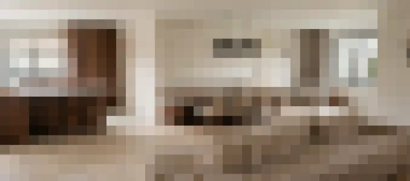 Vinkendreef 4 Bleiswijk thumbnail 17