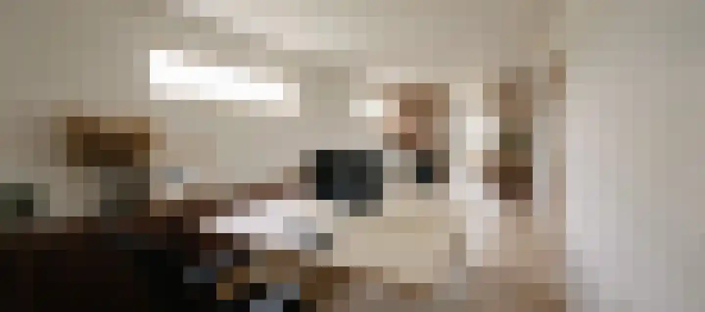 Vinkendreef 4 Bleiswijk thumbnail 34