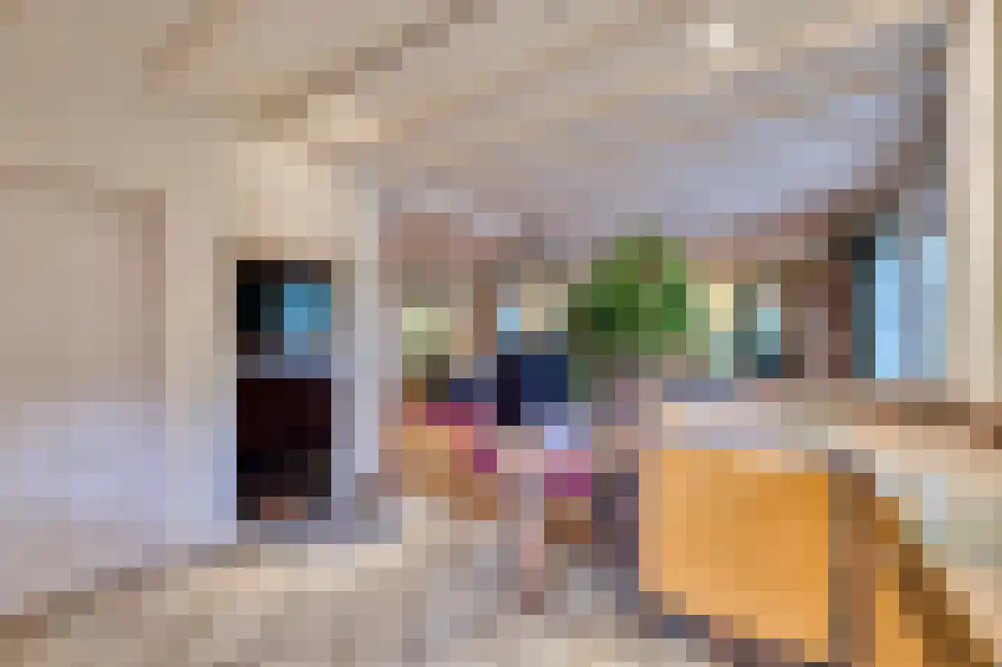 Vinkendreef 4 Bleiswijk thumbnail 36