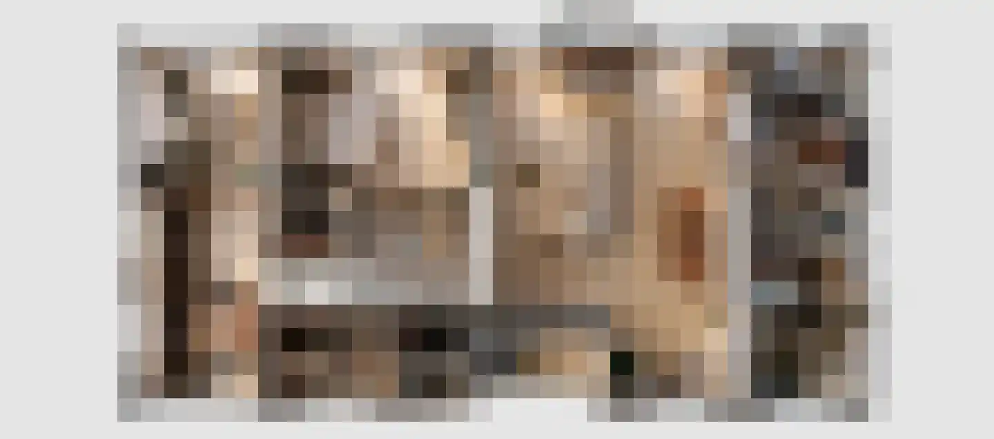 Vinkendreef 4 Bleiswijk thumbnail 37