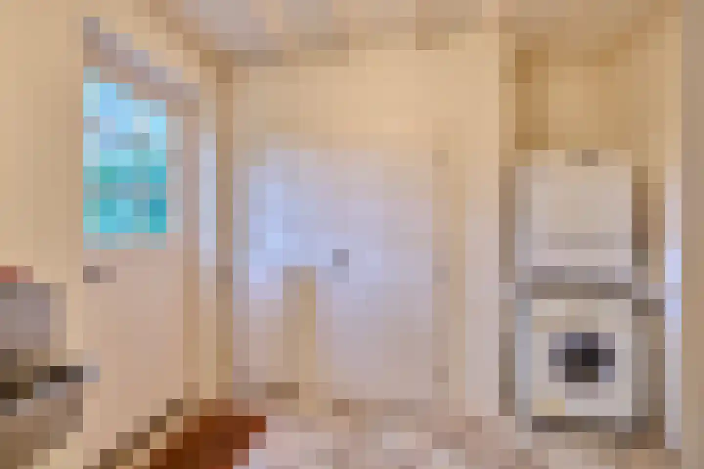 Vinkendreef 4 Bleiswijk thumbnail 38