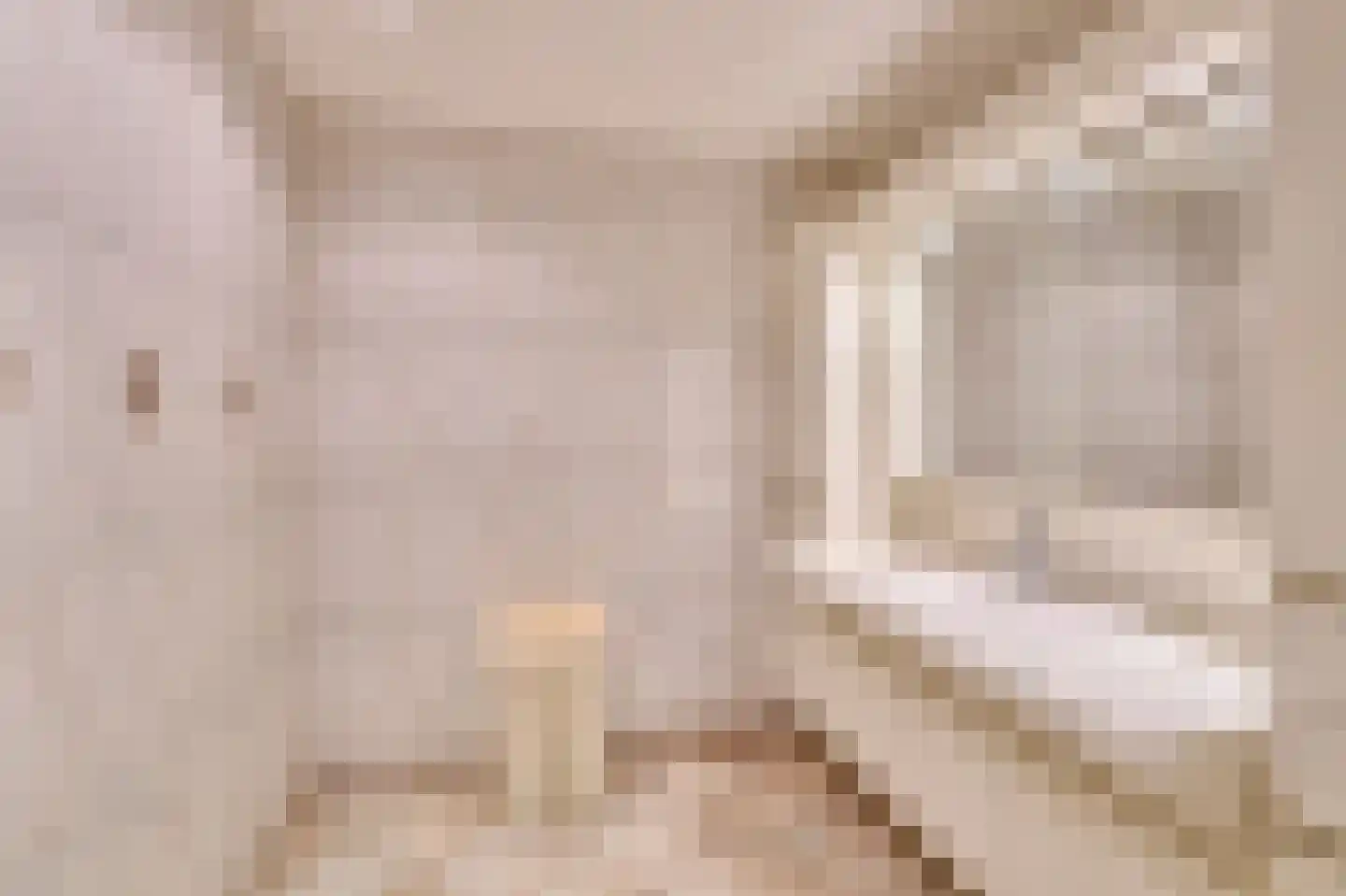Vinkendreef 4 Bleiswijk thumbnail 43