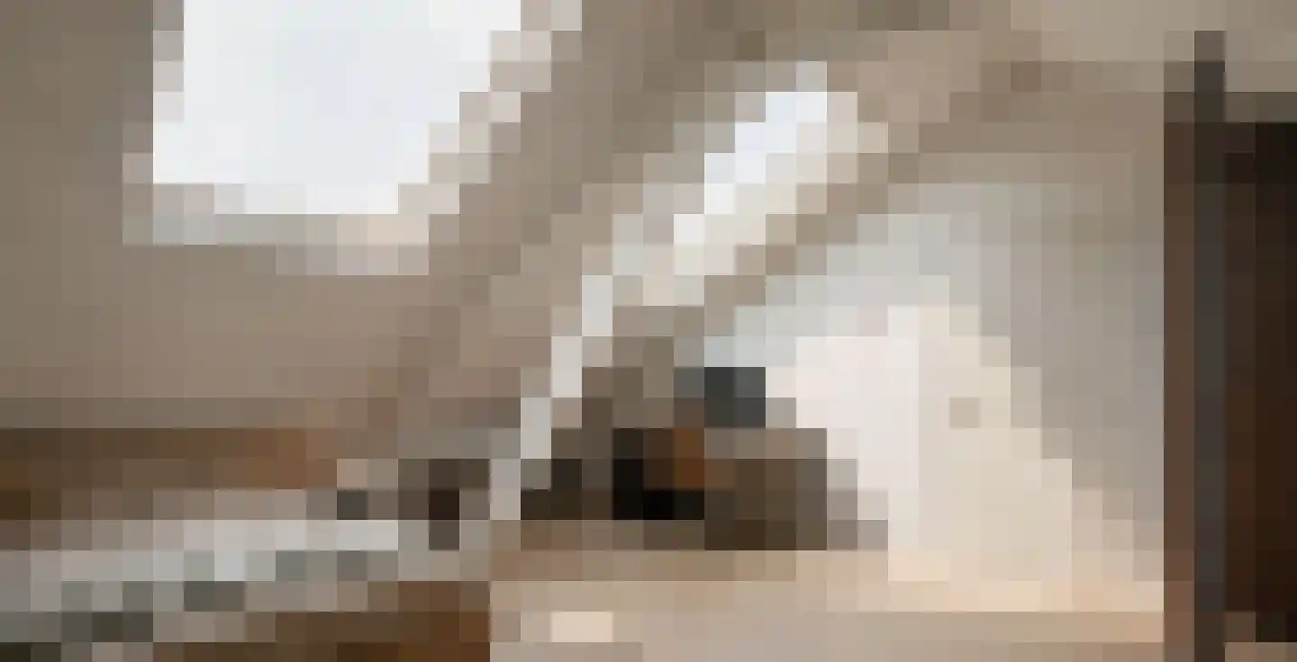 Vinkendreef 4 Bleiswijk thumbnail 44