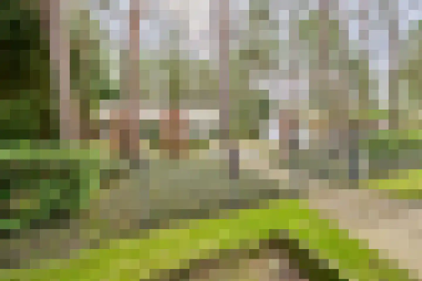 Vinkendreef 4 Bleiswijk thumbnail 61