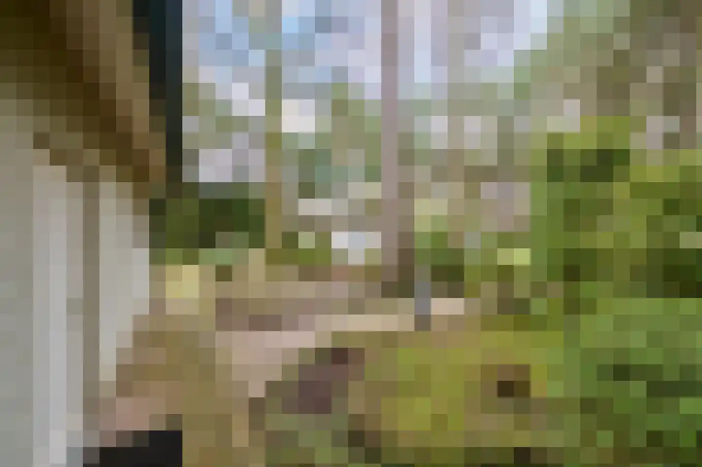 Vinkendreef 4 Bleiswijk thumbnail 64