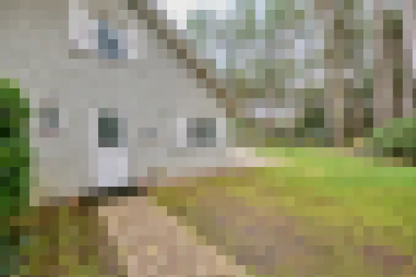 Vinkendreef 4 Bleiswijk thumbnail 65
