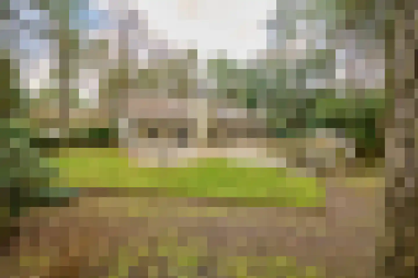 Vinkendreef 4 Bleiswijk thumbnail 68