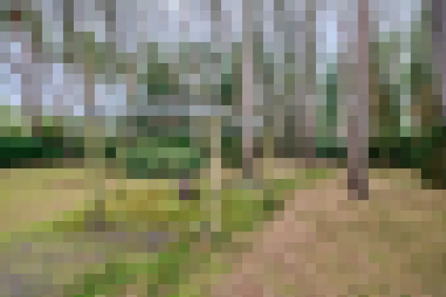 Vinkendreef 4 Bleiswijk thumbnail 69