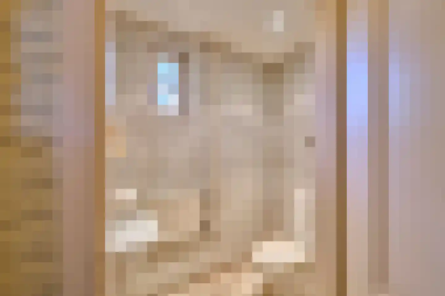 Vinkendreef 4 Bleiswijk thumbnail 75