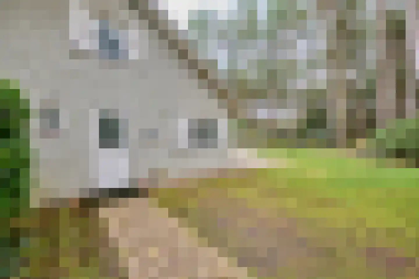 Vinkendreef 4 Bleiswijk thumbnail 90