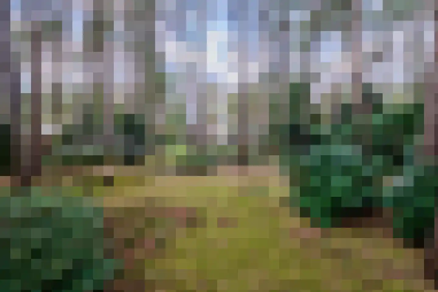 Vinkendreef 4 Bleiswijk thumbnail 95