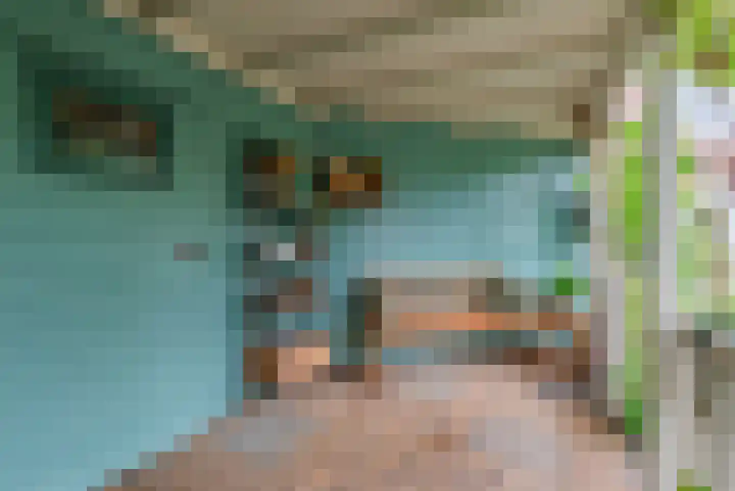 Vinkendwarsstraat 14 Hillegom thumbnail 15