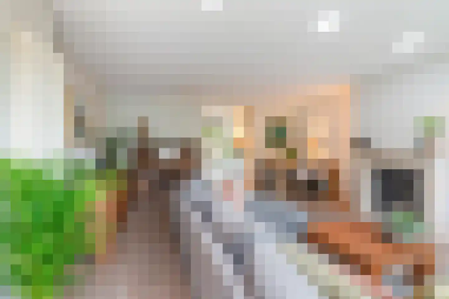 Vinkendwarsstraat 14 Hillegom thumbnail 17