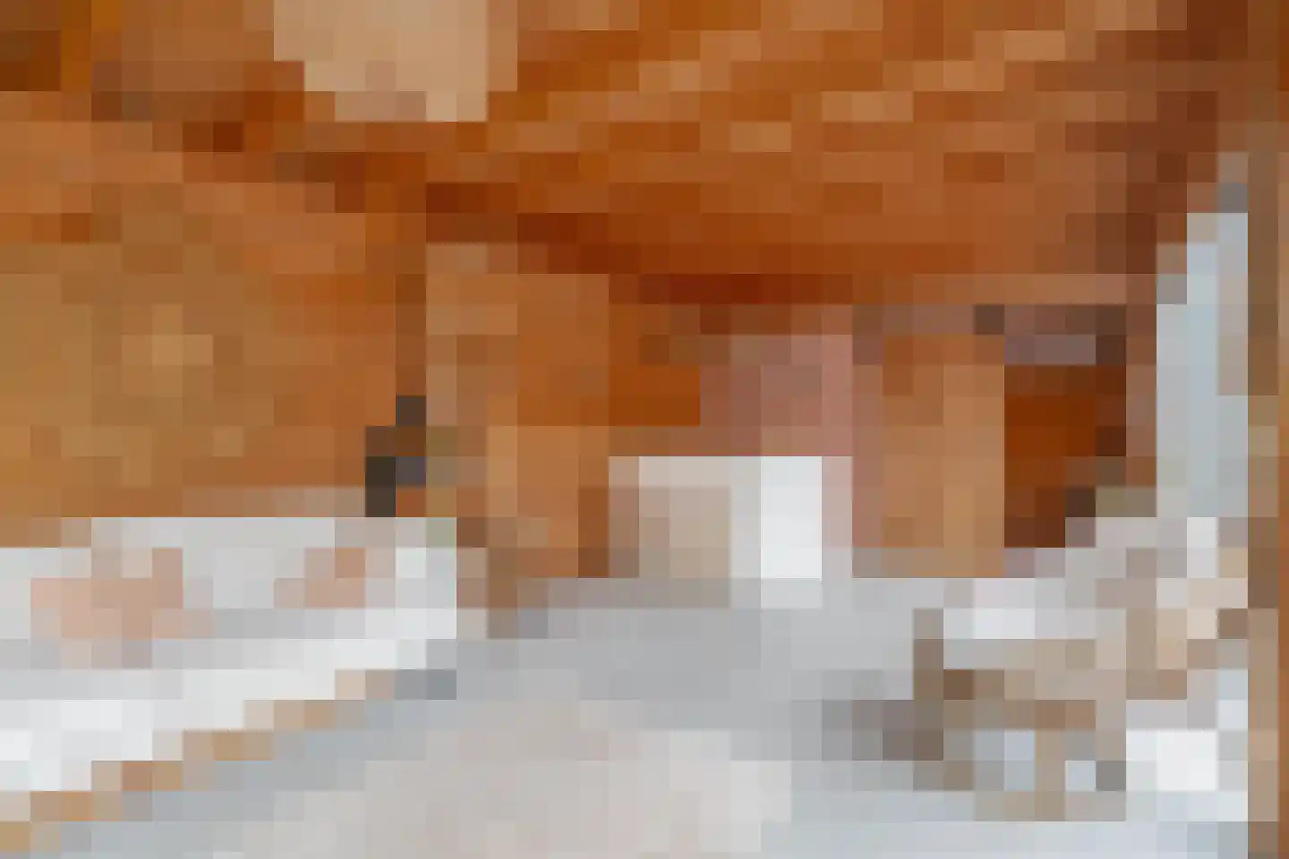 Vinkendwarsstraat 16 Hillegom thumbnail 30