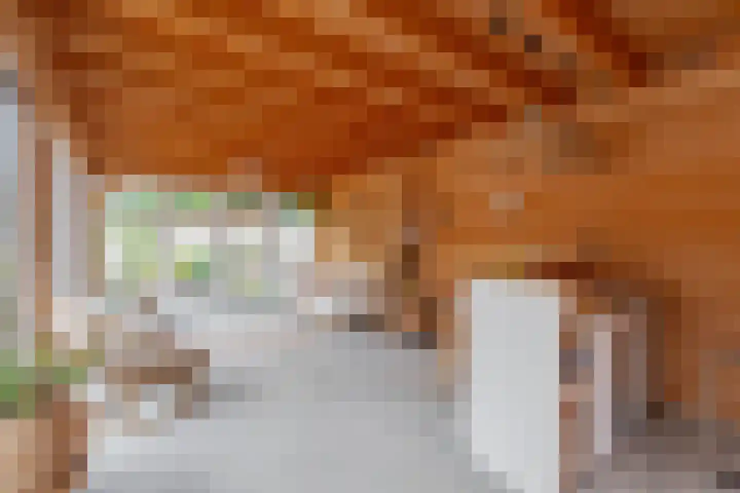 Vinkendwarsstraat 16 Hillegom thumbnail 32