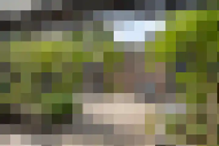 Vinkenerf 48 IJsselstein thumbnail 13