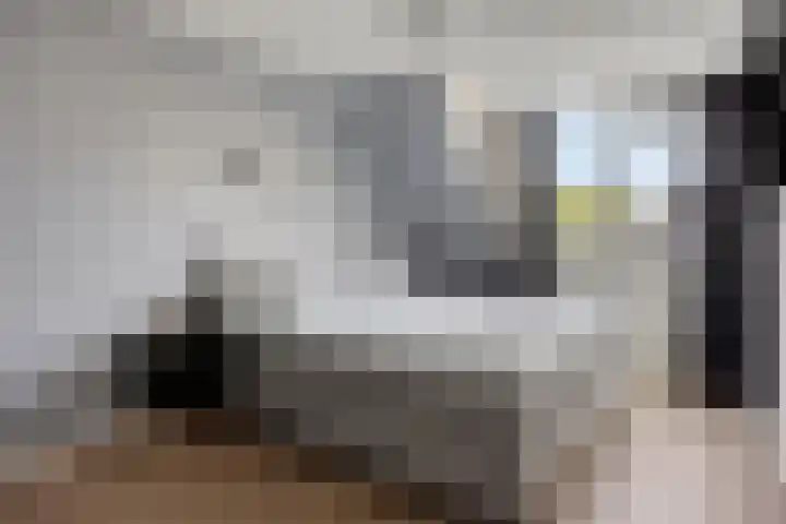 Vinkenerf 48 IJsselstein thumbnail 18