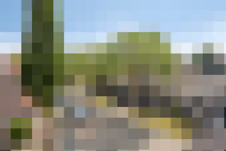 Vinkenerf 48 IJsselstein thumbnail 31