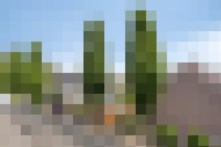 Vinkenerf 48 IJsselstein thumbnail 32