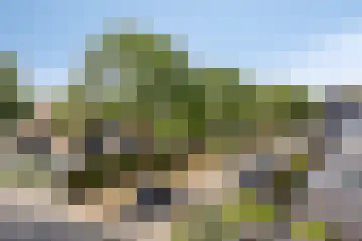 Vinkenerf 48 IJsselstein thumbnail 33