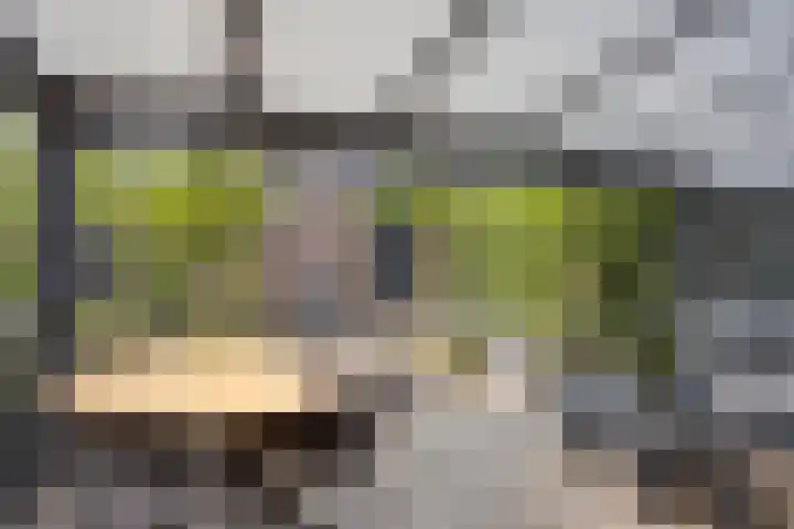 Vinkenerf 48 IJsselstein thumbnail 34