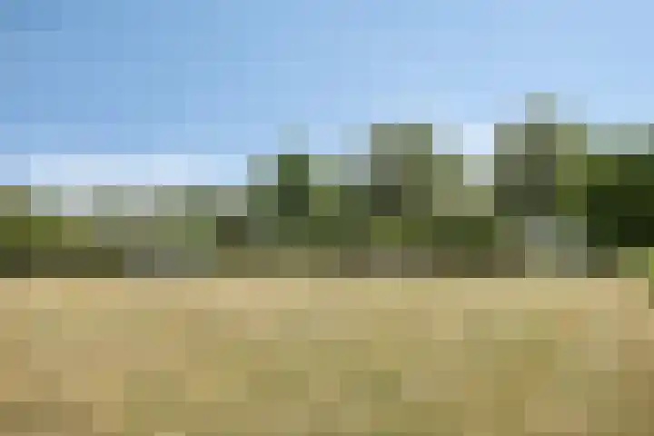 Vinkenerf 48 IJsselstein thumbnail 39