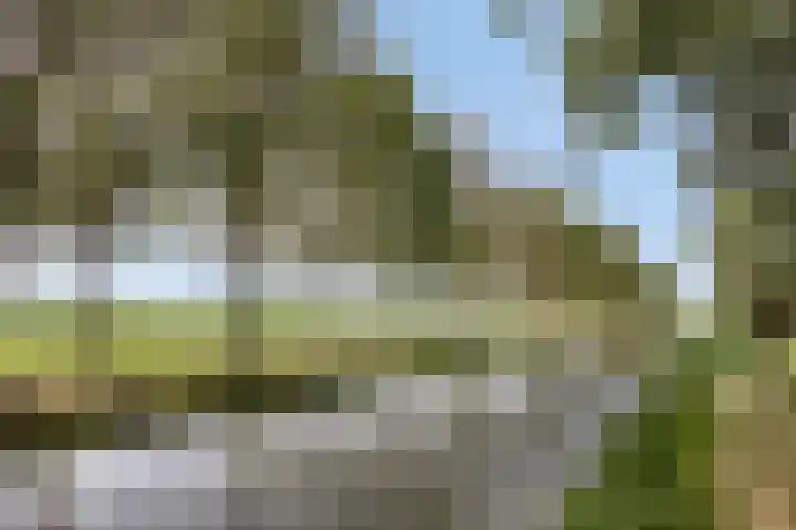 Vinkenerf 48 IJsselstein thumbnail 40