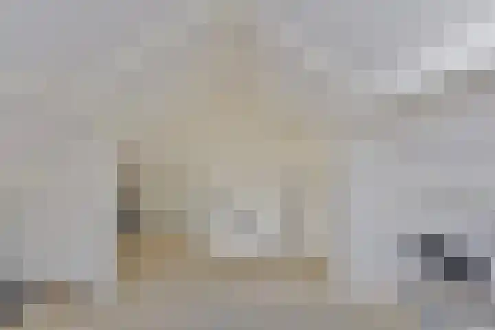 Vinkenheuvel 18 Esch thumbnail 22