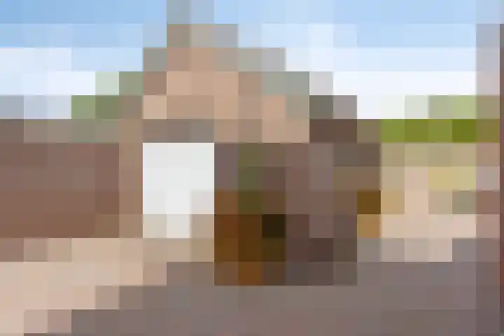 Vinkenheuvel 18 Esch thumbnail 26