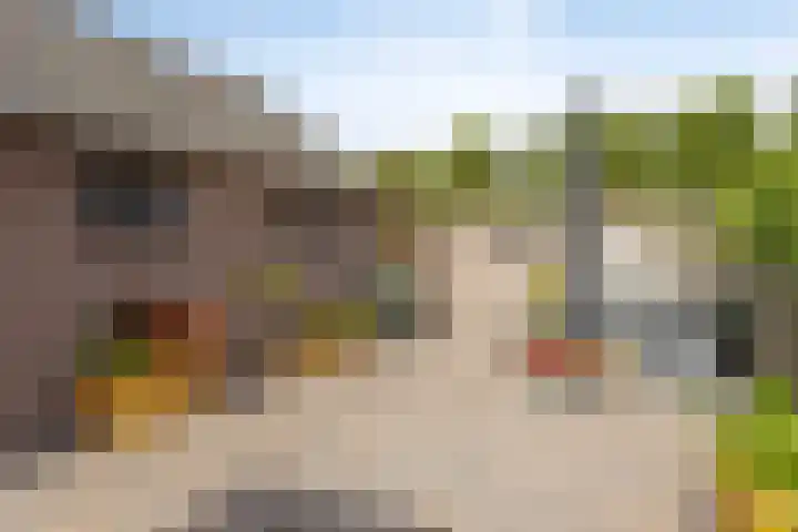 Vinkenheuvel 18 Esch thumbnail 27