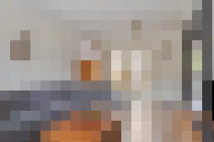 Vinkenheuvel 18 Esch thumbnail 9