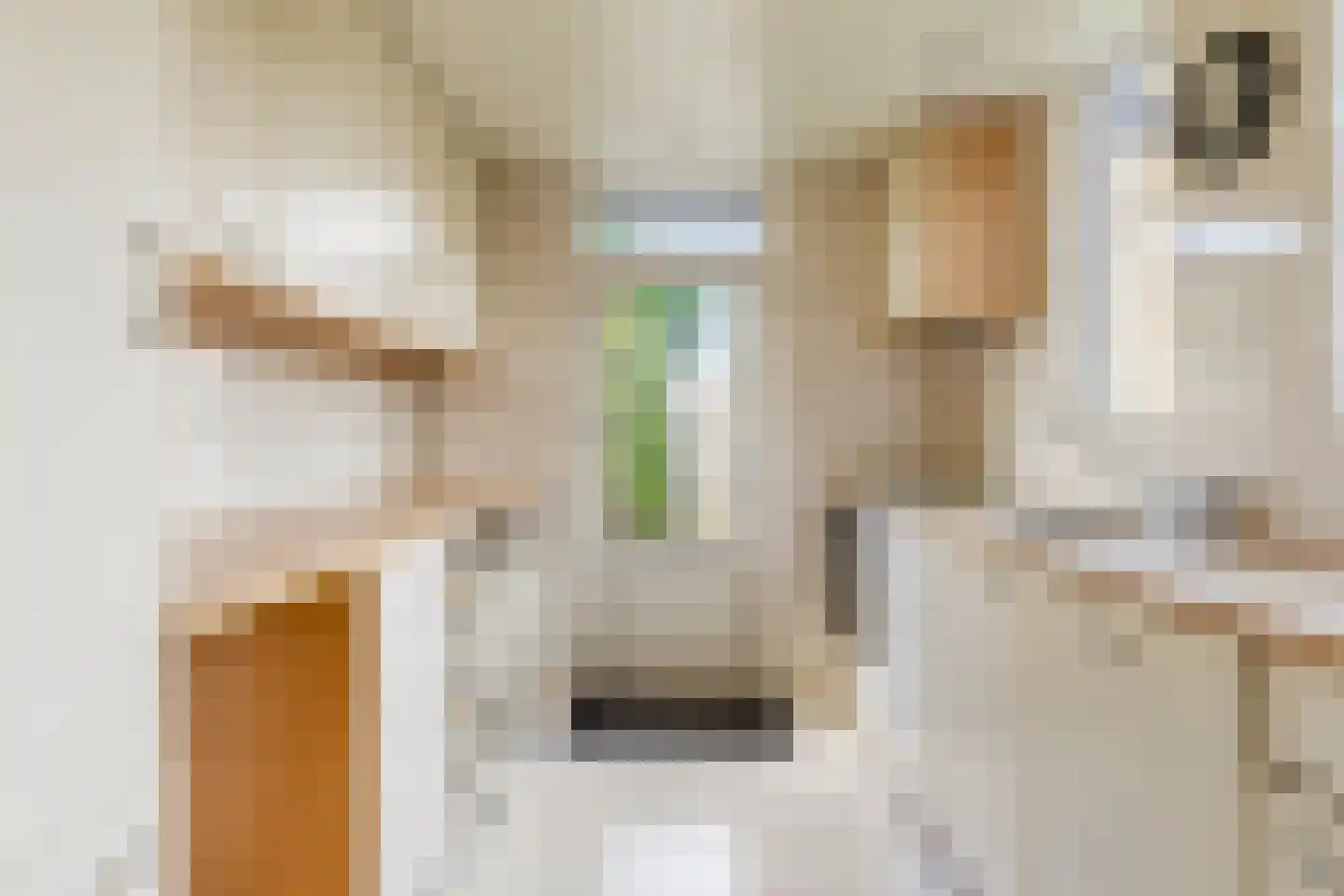 Vinkenhof 10 Ouderkerk aan den IJssel thumbnail 12