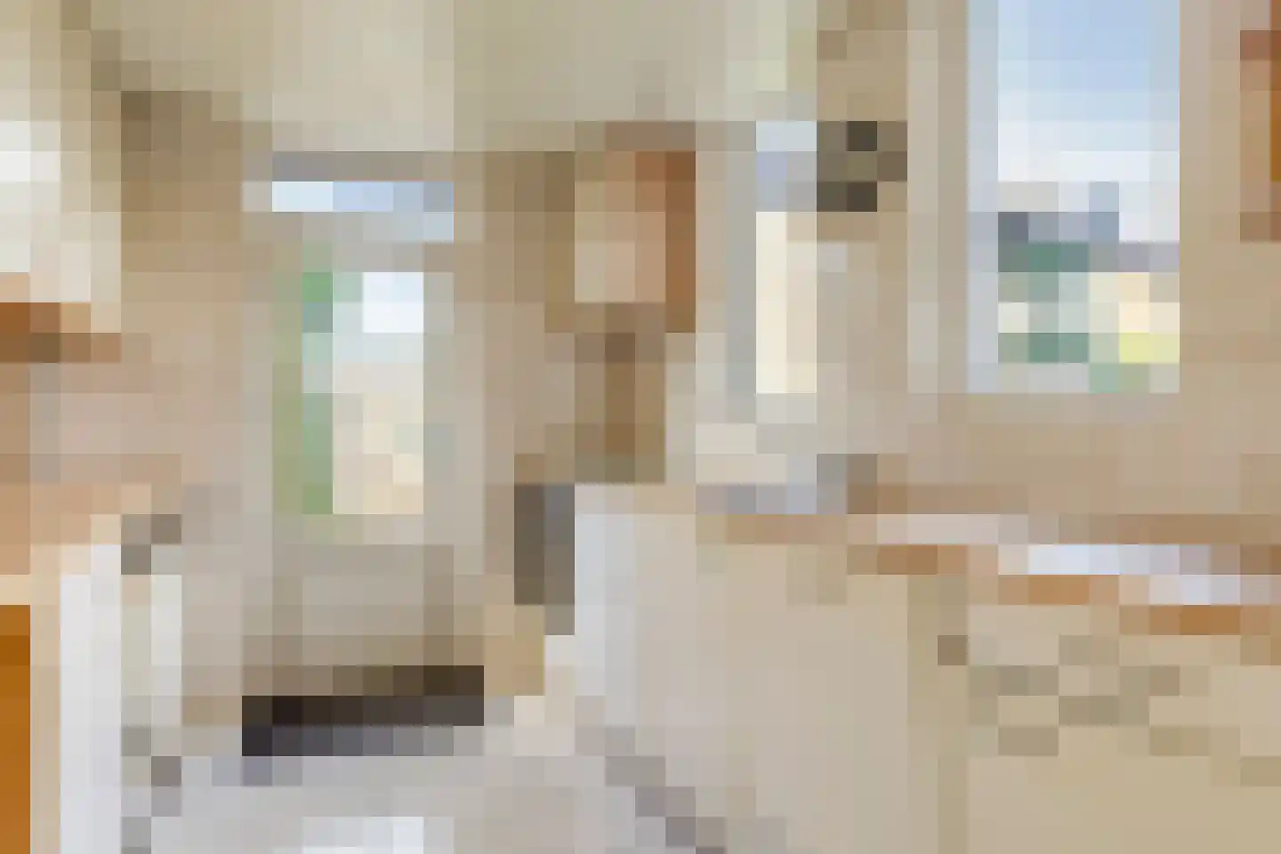 Vinkenhof 10 Ouderkerk aan den IJssel thumbnail 13