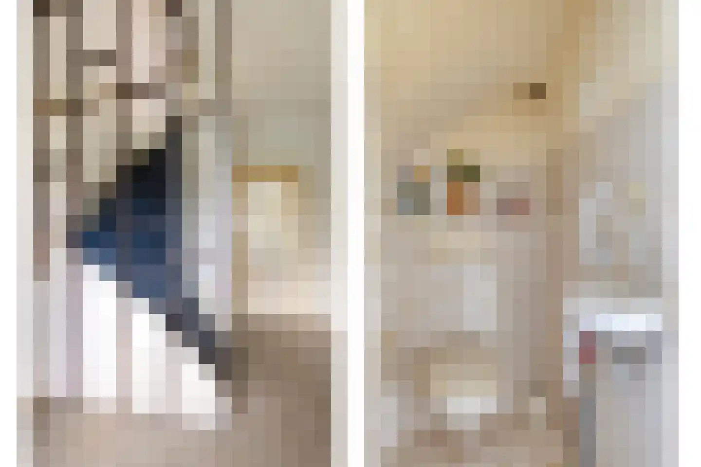 Vinkenhof 10 Ouderkerk aan den IJssel thumbnail 5