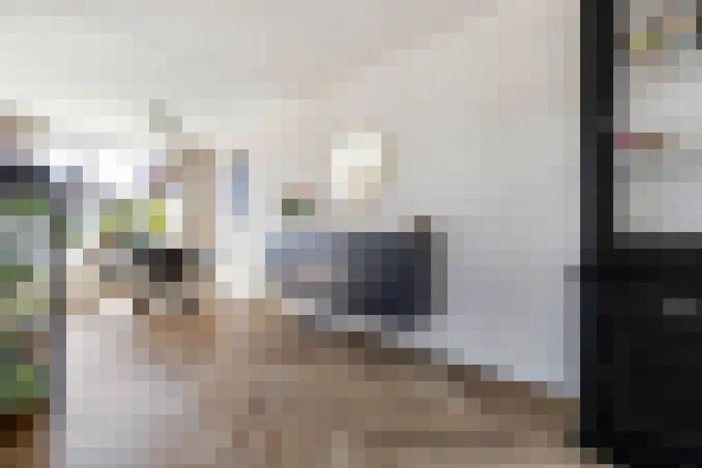 Vinkenhof 13 Elsloo thumbnail 15