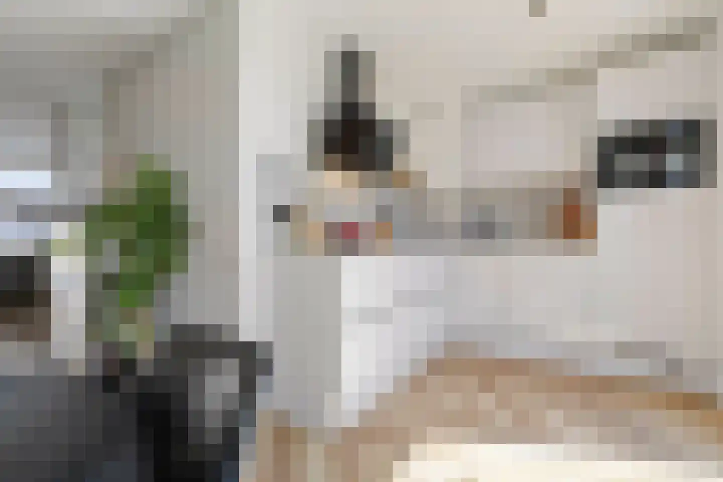 Vinkenhof 13 Elsloo thumbnail 17