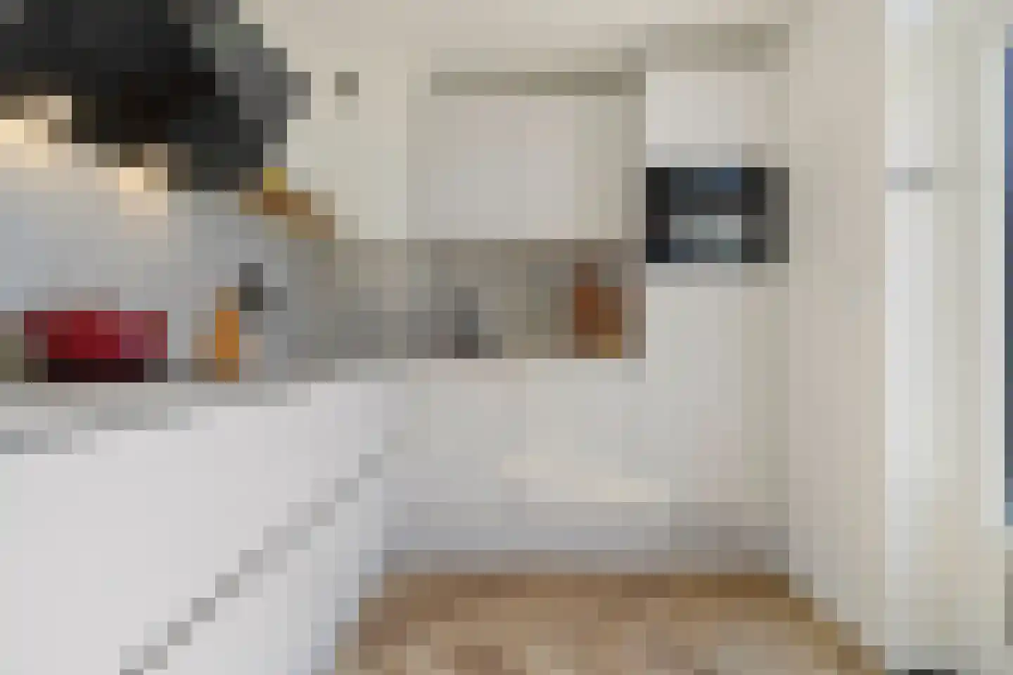 Vinkenhof 13 Elsloo thumbnail 18