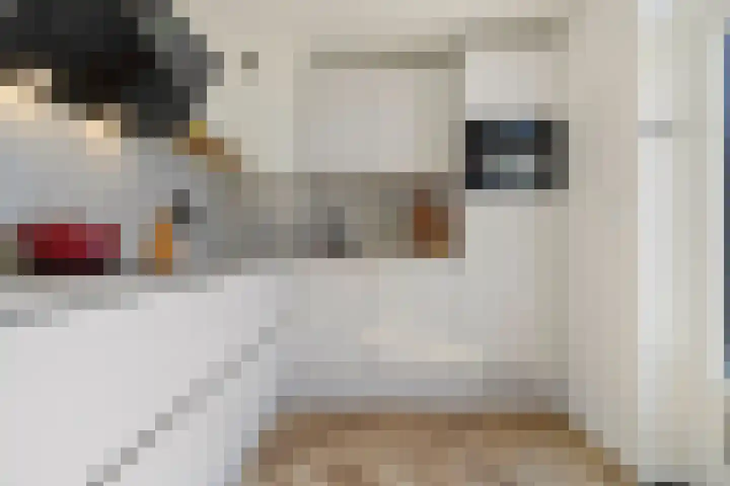 Vinkenhof 13 Elsloo thumbnail 18