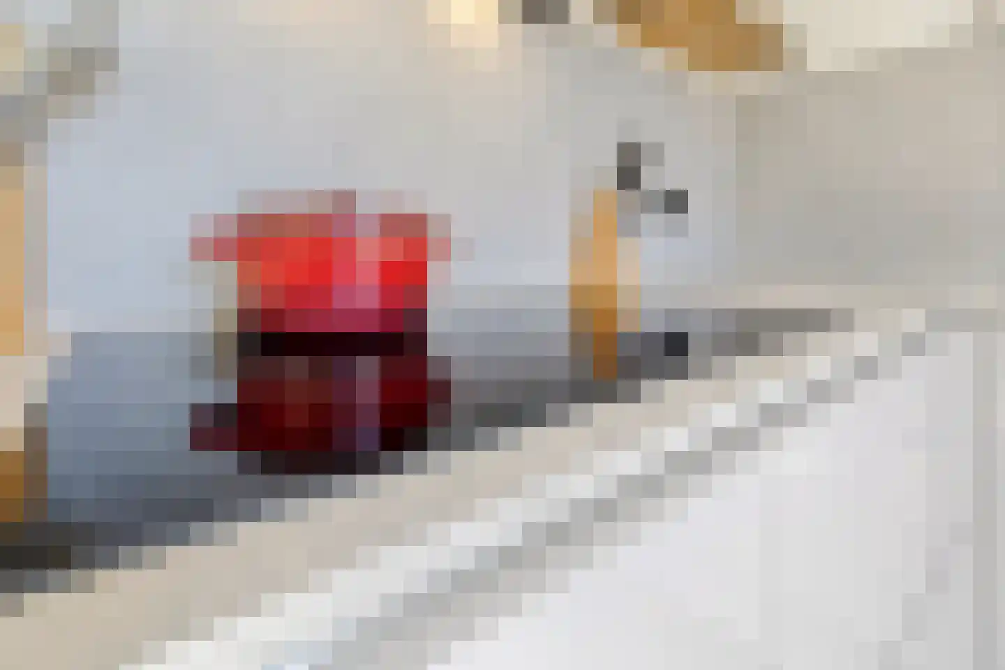 Vinkenhof 13 Elsloo thumbnail 19