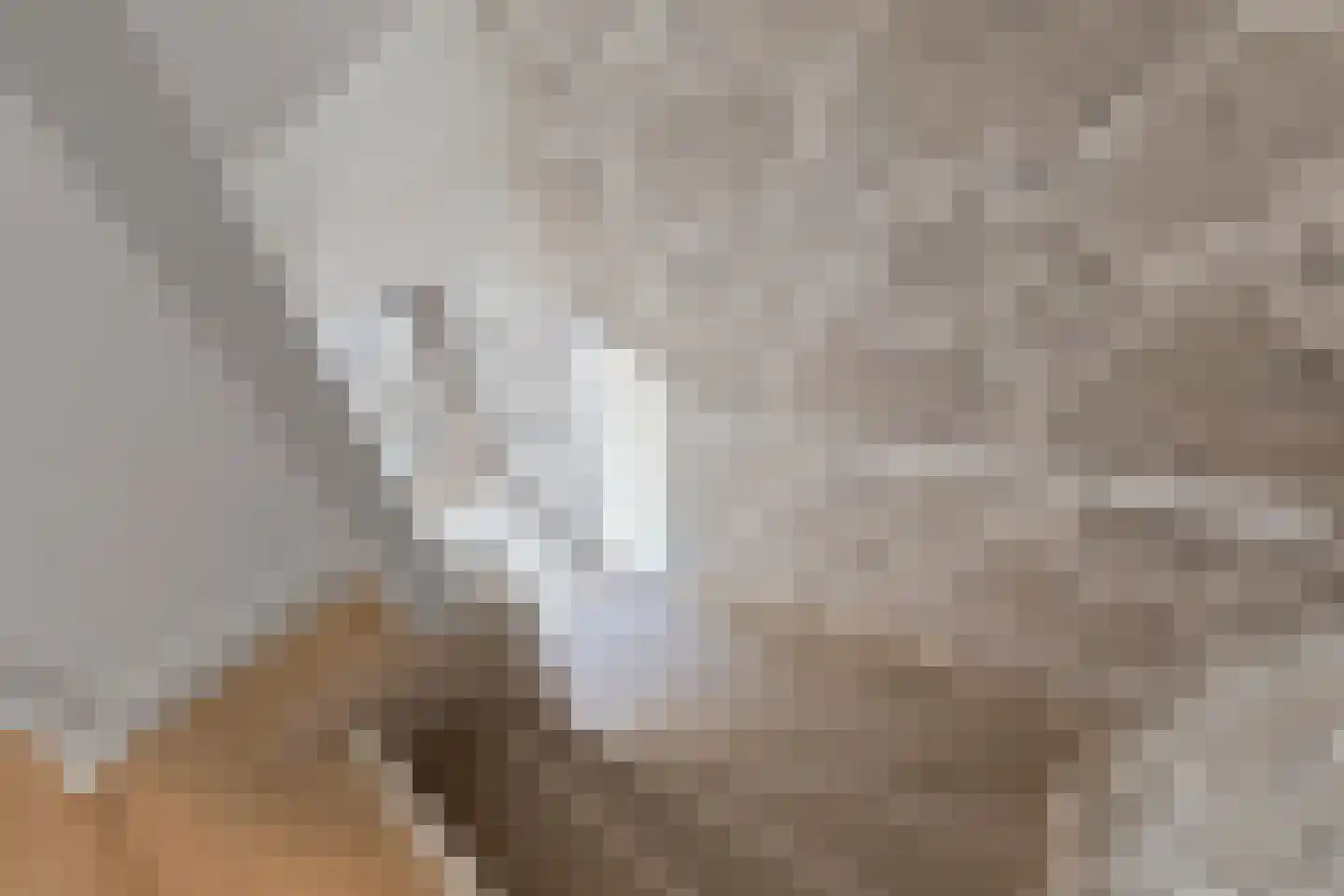 Vinkenhof 13 Elsloo thumbnail 27
