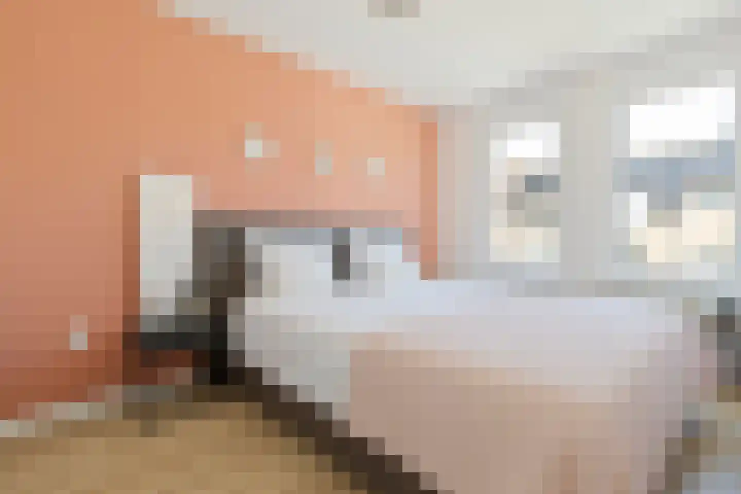 Vinkenhof 13 Elsloo thumbnail 29