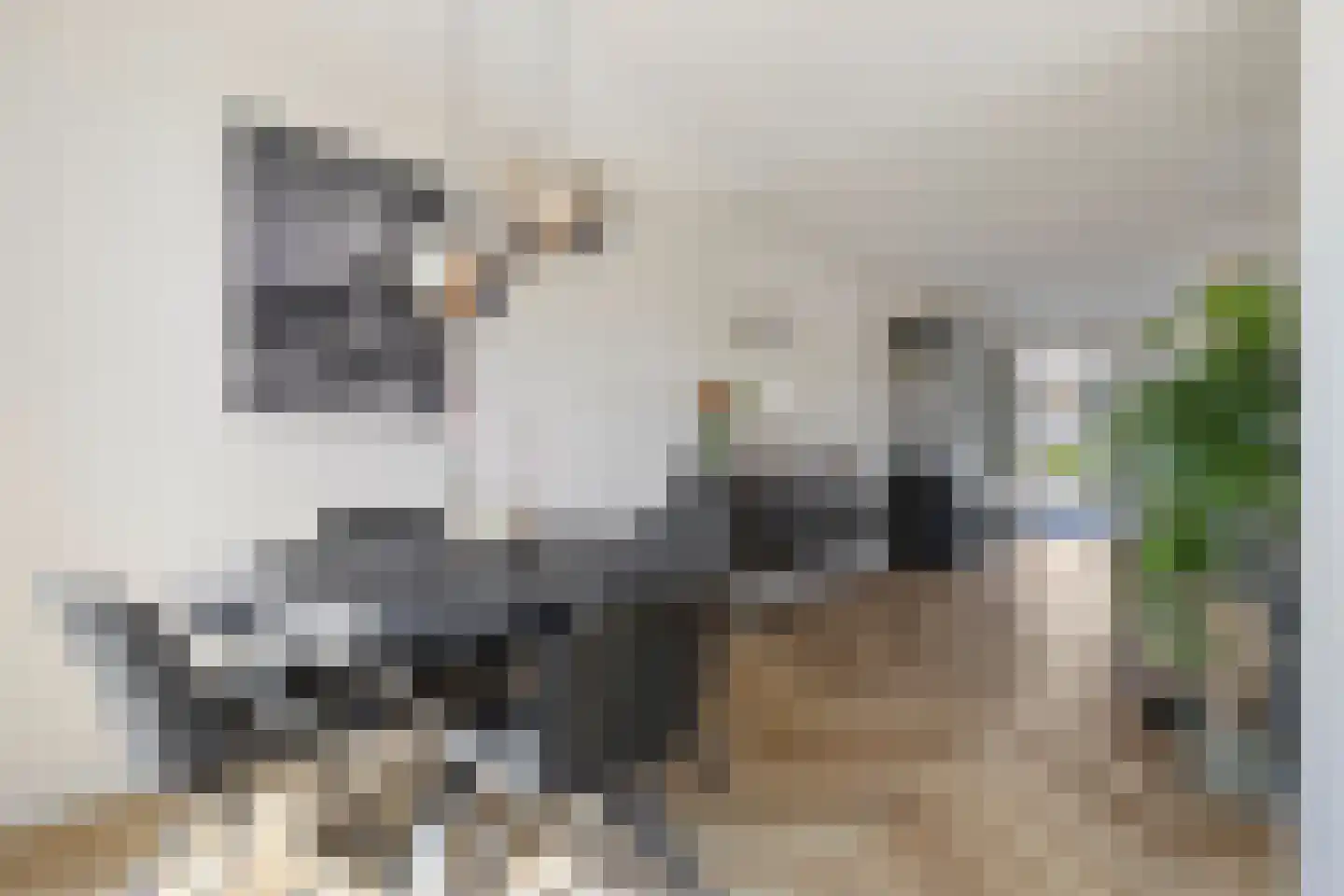 Vinkenhof 13 Elsloo thumbnail 4