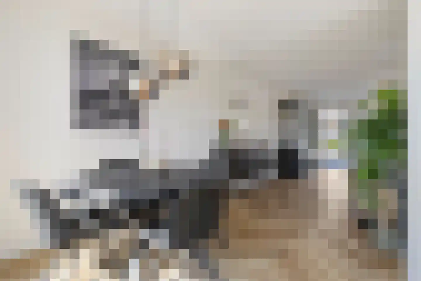 Vinkenhof 13 Elsloo thumbnail 4