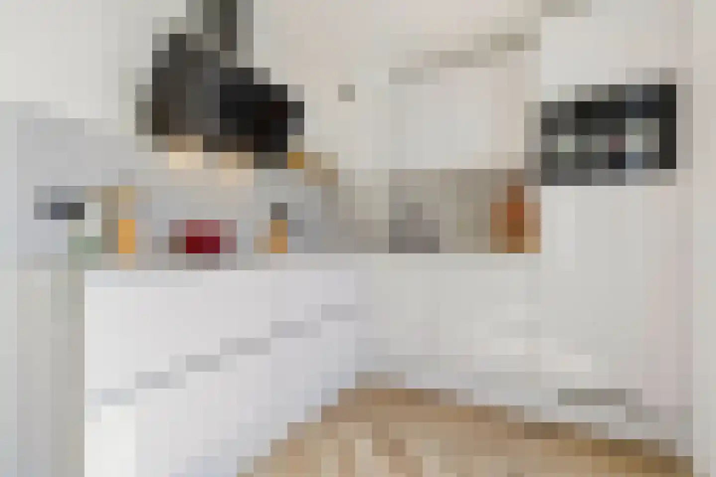 Vinkenhof 13 Elsloo thumbnail 5