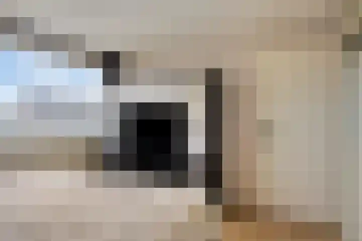 Vinkenhof 19 Varsseveld thumbnail 31