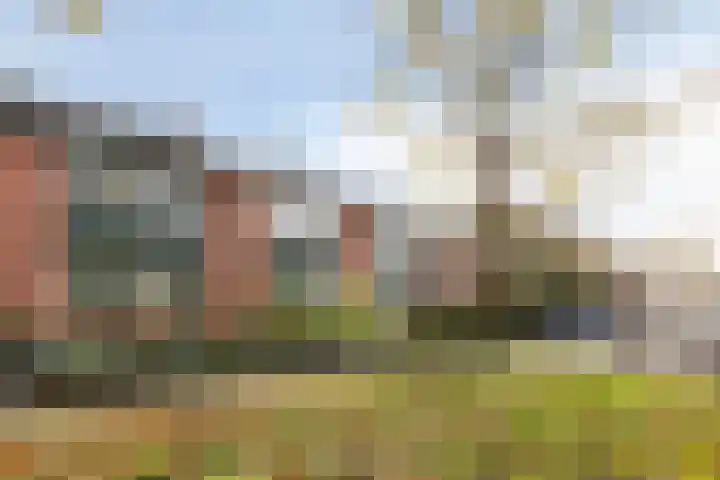 Vinkenhof 19 Varsseveld thumbnail 43